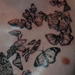 Tattoos - butterfly swarm - 28971
